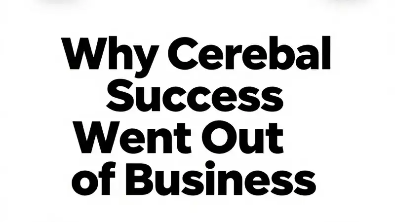 why did Cerebral Success go out of business